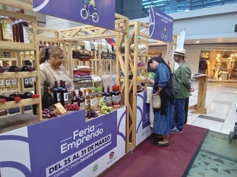 INDAP Ñuble y Mall Arauco invitan a visitar esta semana la Feria Mercado Campesino