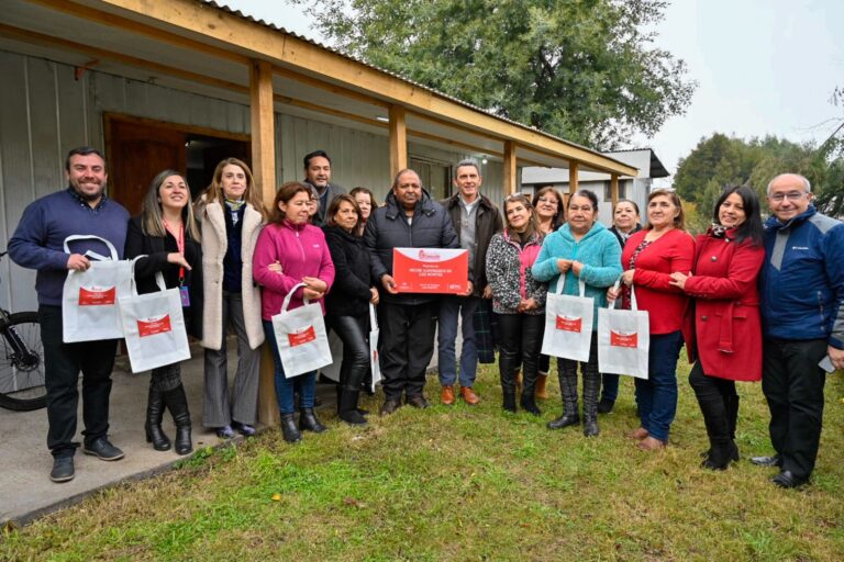 Instalación de luminarias refuerza seguridad en pasaje Los Montes