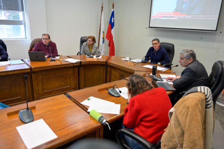 Concejo municipal de Chillán aprobó Ordenanza de Comercio Ambulante