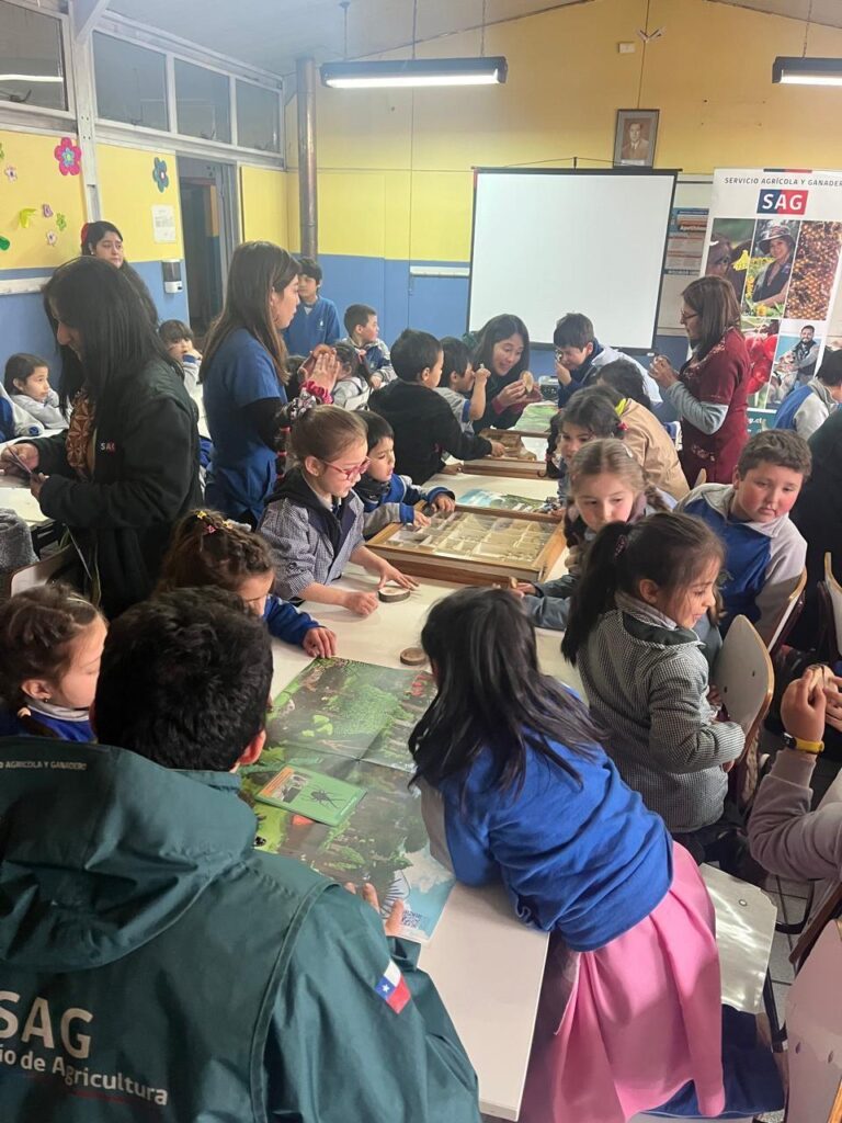 A través de entretenido juego presentado por el SAG: Niños y niñas de Ñuble aprenden sobre el cuidado del bosque nativo