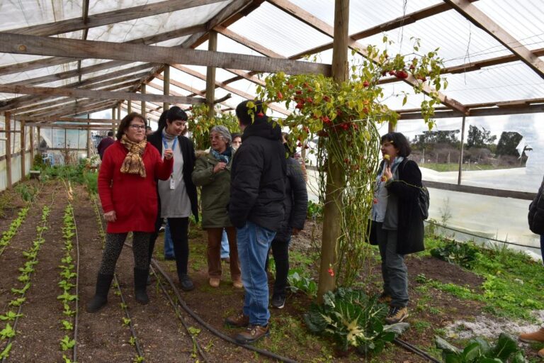 Proyecto de Cooperación Chile-México apoya a mujeres emprendedoras de Ñuble a mejorar sus sistemas de inocuidad y calidad alimentaria