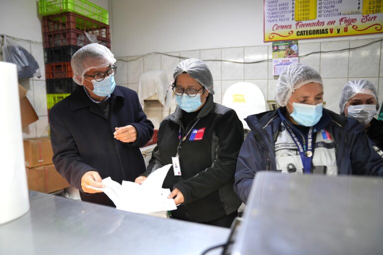 Delegación Presidencial Regional encabeza fiscalizaciones previo a Fiestas Patrias: más de 1.500 kg de carnes han sido incautados