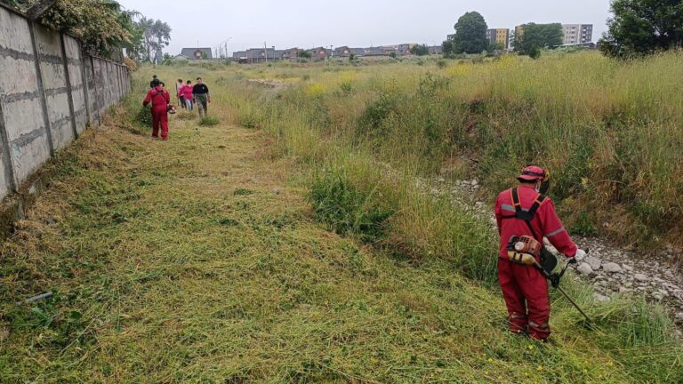 Municipio alcanza un 90 por ciento de avance en la generación de cortafuegos para prevenir incendios en Chillán