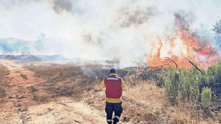 La región de Ñuble registra a la fecha 300 incendios forestales que han afectado a la fecha 3.895 hectáreas