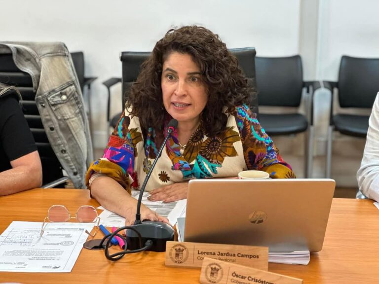 Core Lorena Jardua critica ausencia de medidas económicas y solicita apurar la Corporación Regional para el Desarrollo