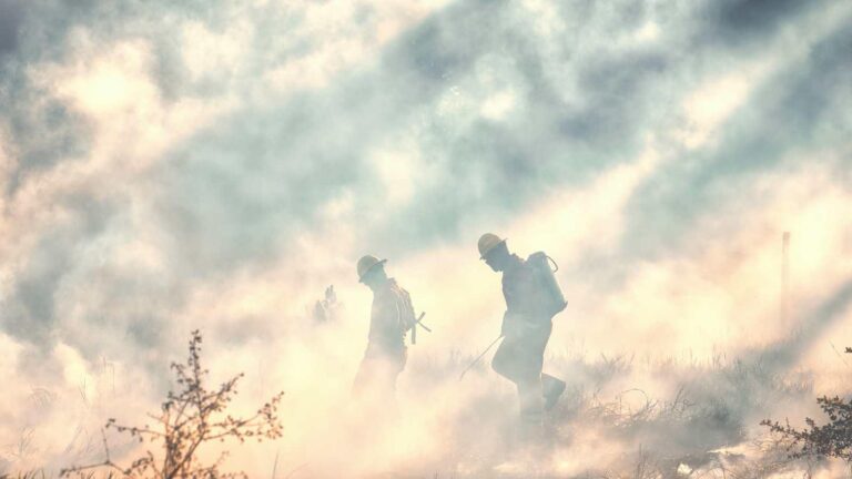 Especialista aconseja extremar cuidados ante la presencia de humo por los incendios forestales