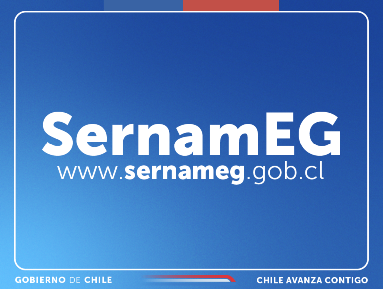 SernamEG Ñuble pedirá nulidad de juicio que absolvió a dos excarabineros de violencia de género