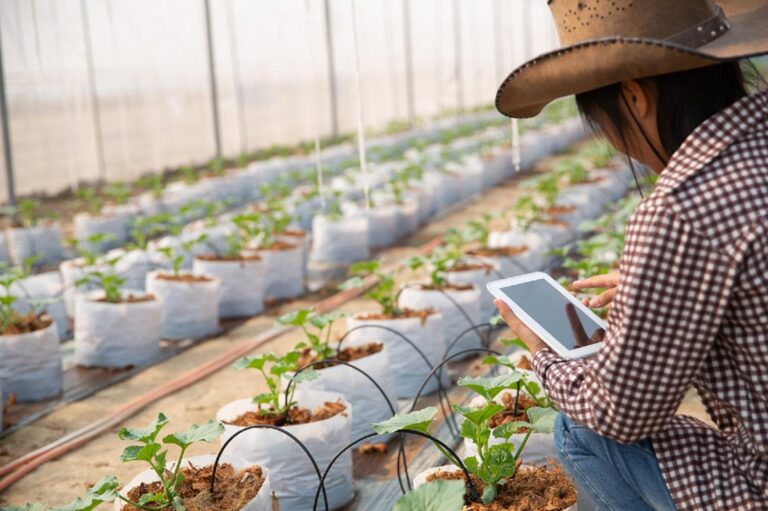 Corfo lanza Red de Fomento Sostenible para modernizar el agro de Maule y Ñuble con tecnologías digitales
