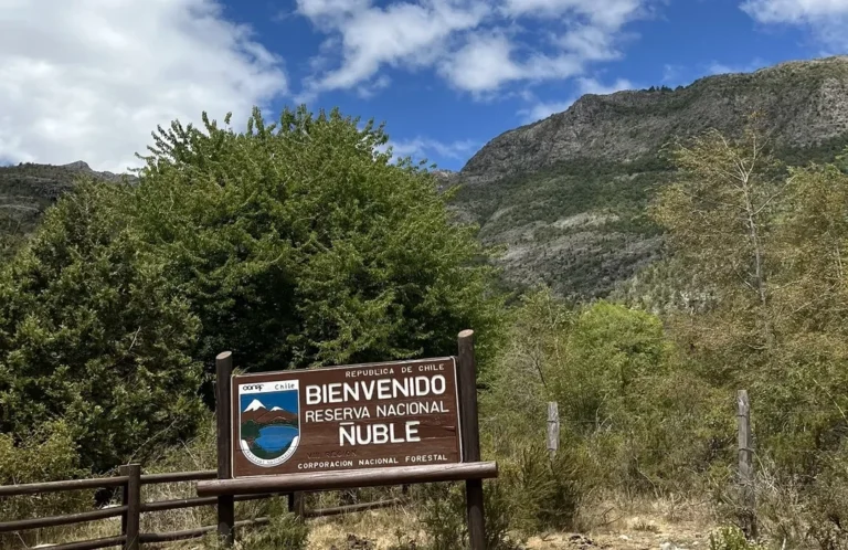Reserva Ñuble ofrece acceso gratuito por Día de los Patrimonios