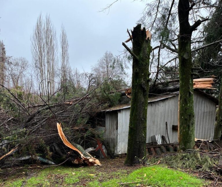 25 viviendas afectadas y una con destrucción total suma El Carmen tras sistema frontal
