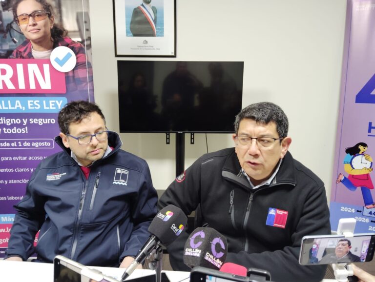 Dirección del Trabajo fiscalizará derechos de los trabajadores de Ñuble en las primarias de este domingo