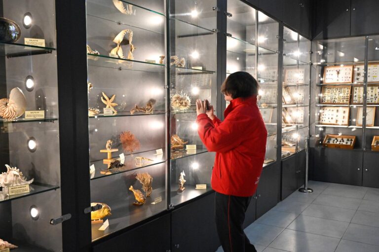 Museo de Ciencias Naturales y Arqueología: un renovado espacio al servicio de la educación