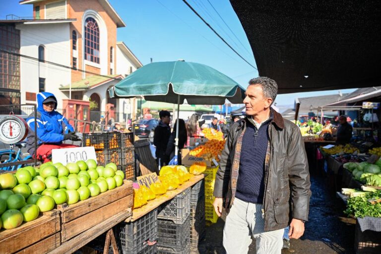 Concejo municipal de Chillán aprobó licitación para reconstruir patio Isabel Riquelme por 3.400 millones de pesos