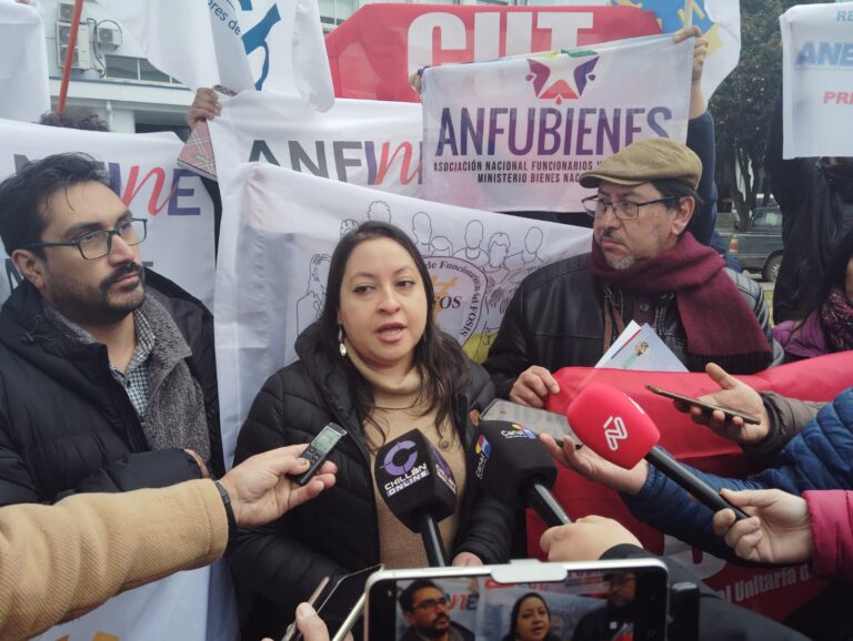 ANEF inicia movilización contra proyecto que modifica subsidio por incapacidad laboral en el sector público