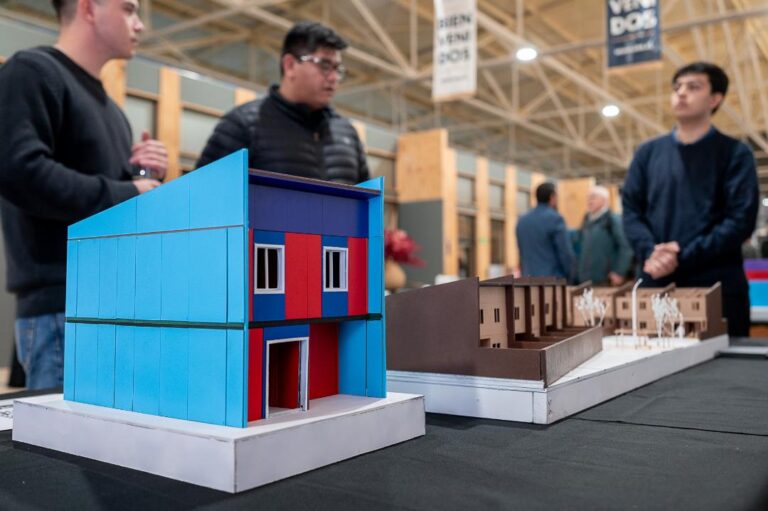 Crean plataforma para construir viviendas sociales en madera tipo LEGO