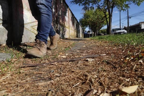 Semana clave para gran proyecto de veredas en población Kennedy de Chillán