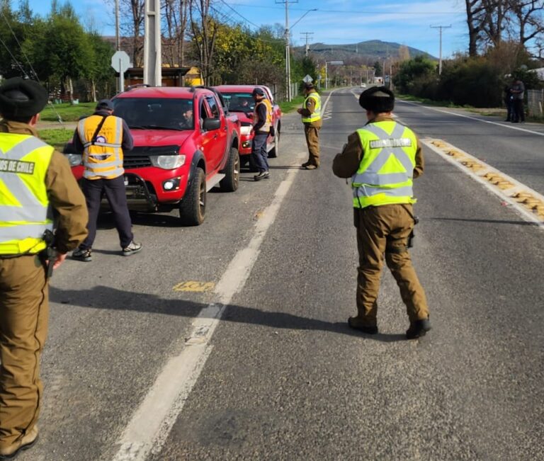 Plan Intercomunal en Chillán, Chillán Viejo, San Carlos y San Fabián: Carabineros detuvo a 5 sujetos