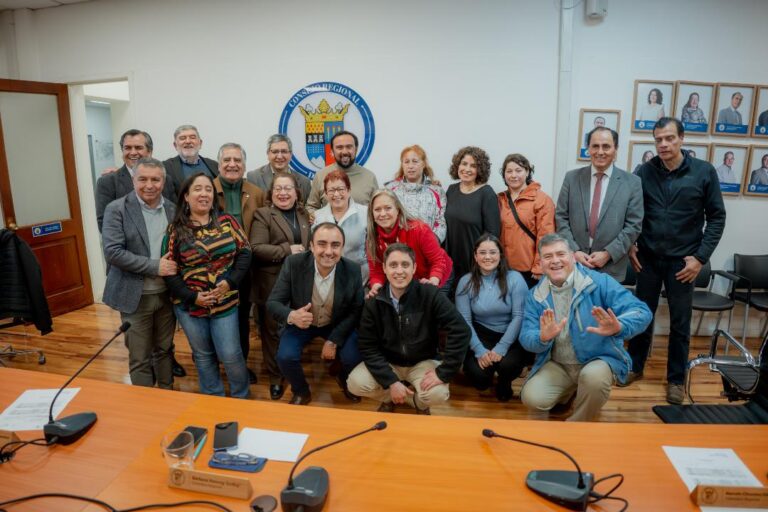Ñuble contará con la primera escuela de artes y oficios para personas con síndrome de Down