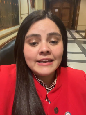 Diputada Sara Concha exige respuestas al Gobierno por crisis en Junaeb e impulsa Comisión Investigadora