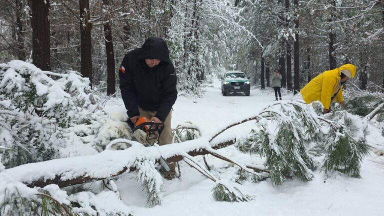 Cortes de rutas y familias aisladas deja caída de nieve en zona precordillera de El Carmen