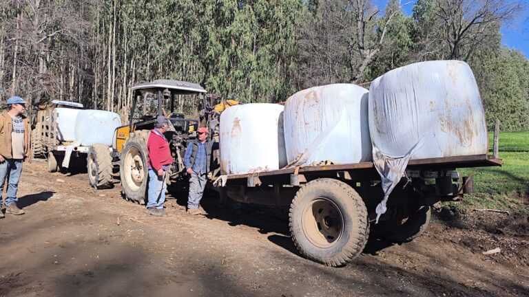 El Carmen: Donan forraje para animales de zonas afectadas por la nevazón