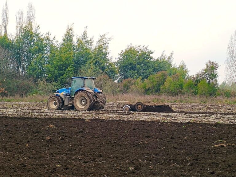 Especialista destaca las claves para que ganaderos obtengan una alfalfa nutritiva en suelos ácidos