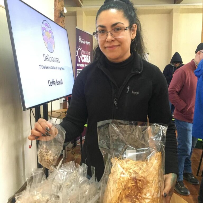 Prodesal Chillán promueve el cultivo de hongo ostra como alternativa productiva