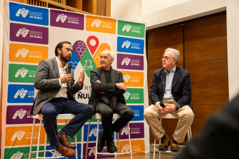 Ñuble se inspira en las exitosas transformaciones de Bilbao y Singapur para planificar sus ciudades con mirada de futuro