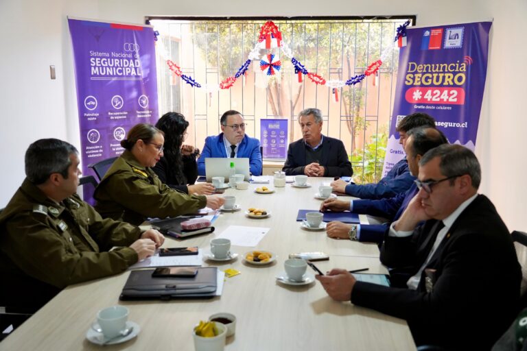 Tras Comité de Seguridad de este lunes, autoridades de Ñuble anuncian refuerzo de las medidas de seguridad