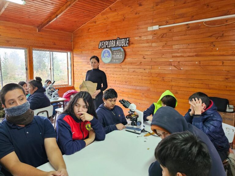 Fortalecen Red de Profesoras y Profesores de Ñuble con charla sobre neurociencia
