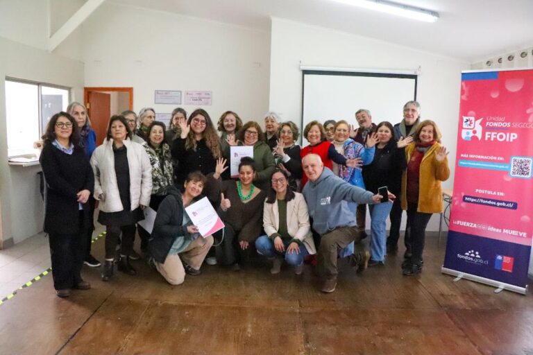Organizaciones de Ñuble Inician ejecución de proyectos que fortalecen la participación comunitaria