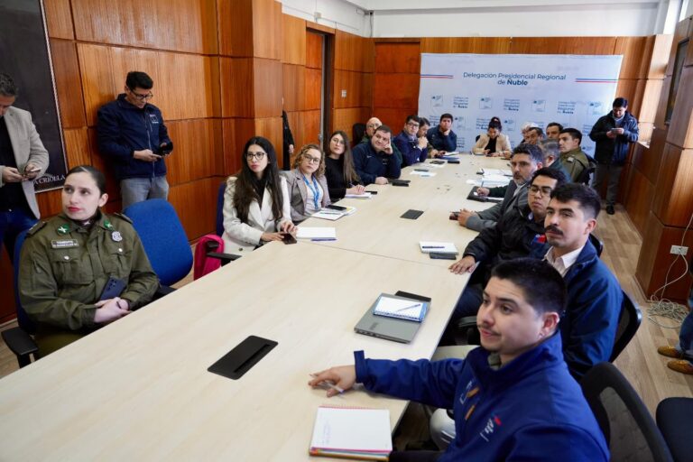 Autoridades refuerzan fiscalización sanitaria y seguridad vial en Ñuble de cara a Fiestas Patrias