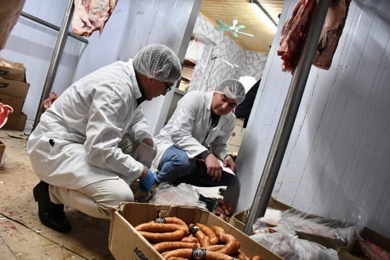 Seremi de Salud ha decomisado 2.084 kilos de productos cárnicos previo al ‘18’