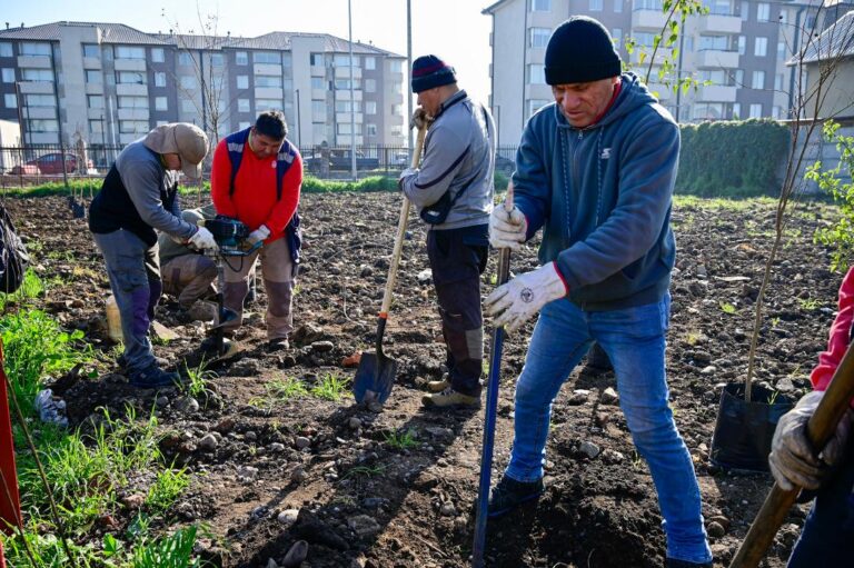 Municipio realiza arborización en Villa Portal del Sol para la comunidad
