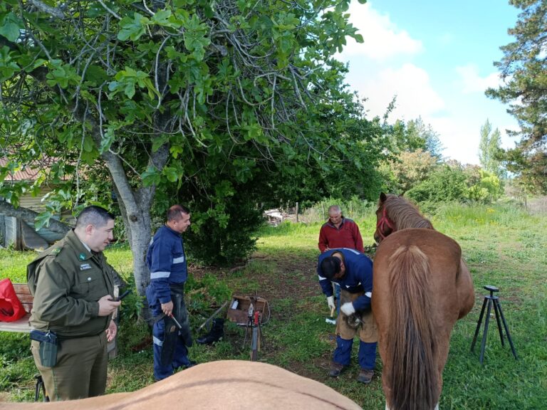 Carabineros llevó atención especializada y servicios a sector rural de Milahue en Bulnes