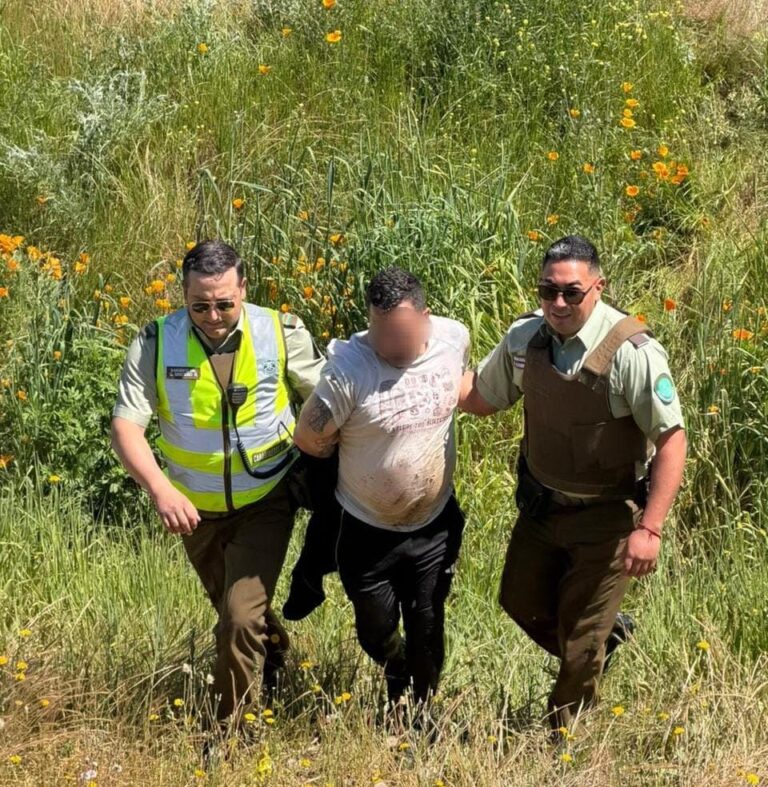 Carabineros detuvo en San Nicolás a sujetos que intentaron escapar por predios tras ingresar a una vivienda en Pedro de Nilahue