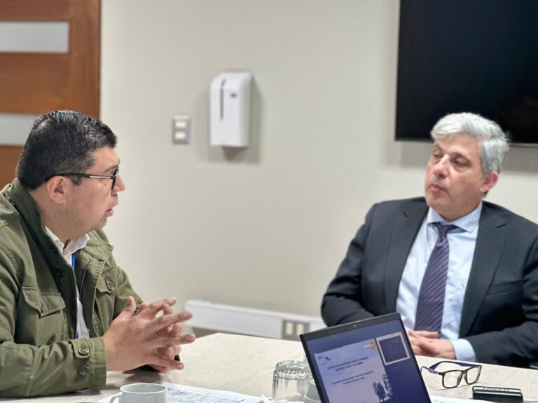 CONAF y Ministerio Público refuerzan coordinaciones para enfrentar el robo de madera en Ñuble