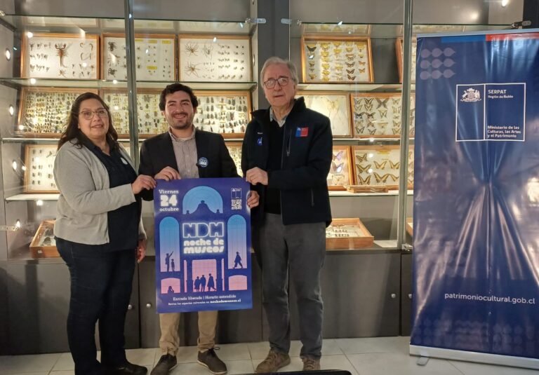 Noche de Museos Iluminará la Región con Horarios Extendidos y una Amplia Oferta Cultural