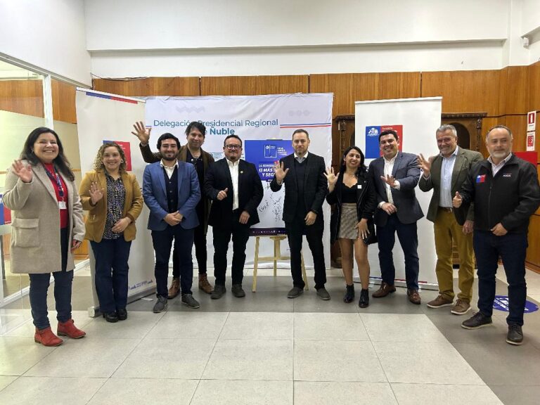 Ñuble aprobó Plan de Acción Regional de Reinserción Social Juvenil