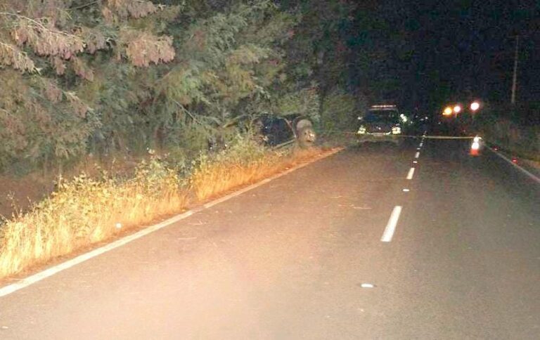 Carabineros de la SIAT Ñuble investiga causas de choque fatal registrado anoche en Ñiquén