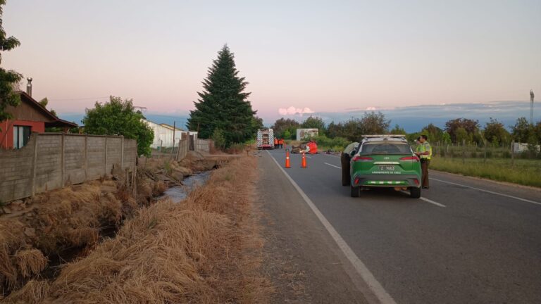 Domingo Negro en Ñuble: Ocho fallecidos en una trágica jornada de accidentes y hallazgos