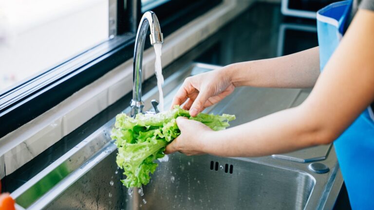 Autoridad Sanitaria llama a prevenir enfermedades transmitidas por alimentos y reforzar medidas de autocuidado