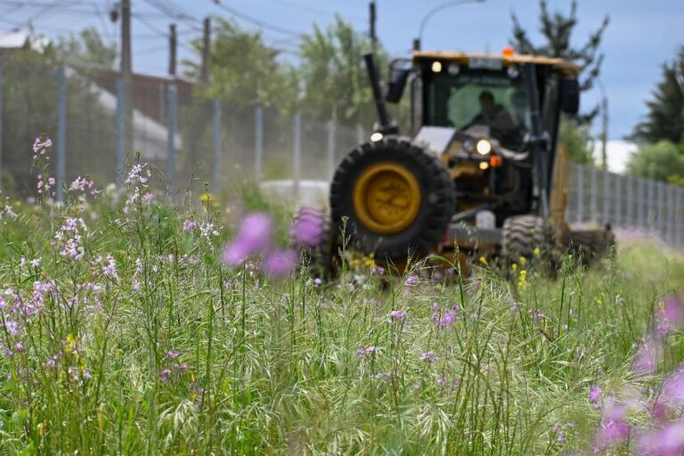 Municipio alcanza un 71 por ciento de avance en generación de cortafuegos