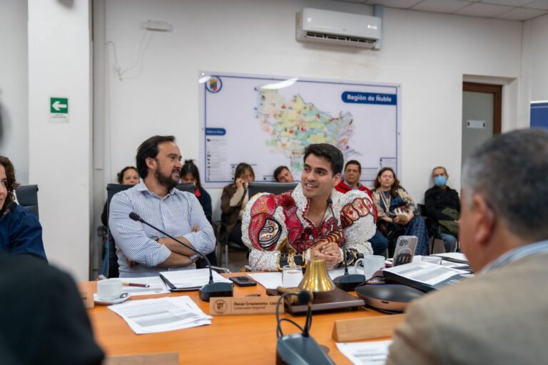 Consejo Regional aprueba fondos para Encuentro Nacional de Caporales en Ñuble