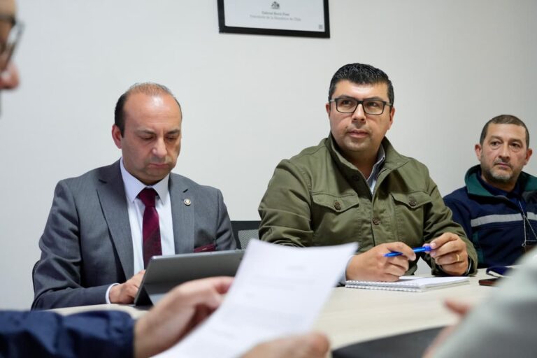 CONAF Ñuble orienta acciones contra robo de madera en mesa regional que busca frenar el crimen organizado