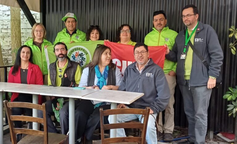 Profesionales de la salud de Ñuble se movilizan por ‘amenaza real’ al presupuesto sanitario