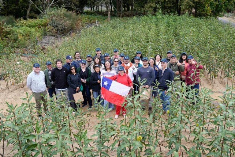 Agricultores de Ñuble conocen modelos europeos de innovación, asociatividad y sostenibilidad en el cultivo de pistacho y castaño