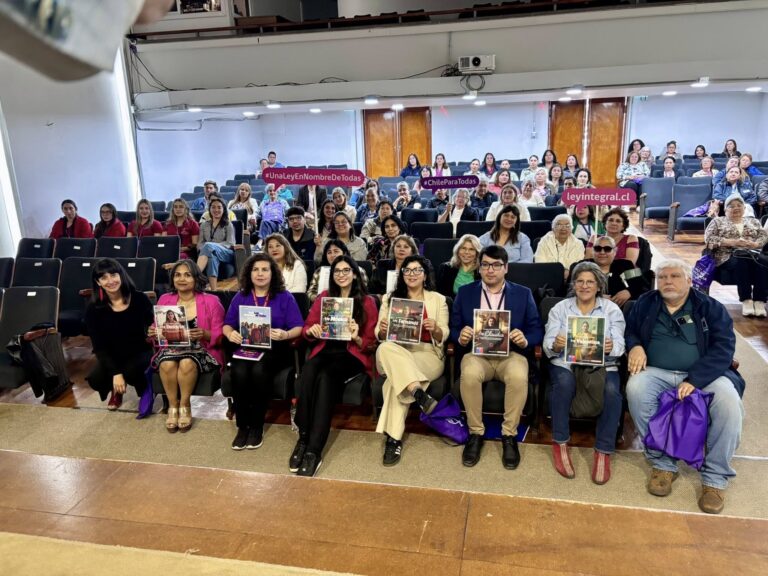 Chile relanza campaña clave en el Día contra la Violencia a la Mujer: ‘Una Ley en Nombre de Todas’