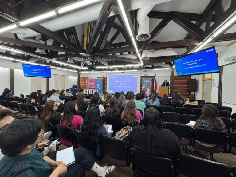 Abordan en Ñuble los desafíos de la nueva Ley de Adopción