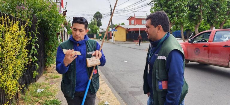 SAG realiza vigilancia de mosca de la fruta en la Región de Ñuble